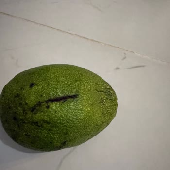 Aldığım Ekmekteki Sorun Ailemi Riske Attı