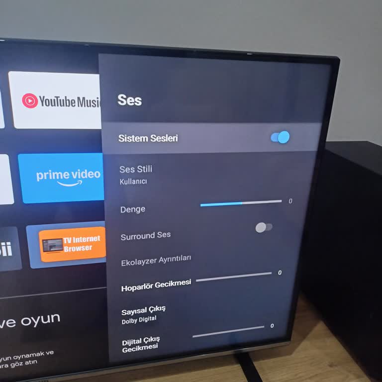 Vestel TV'de Ses Ayarlarına Ulaşamıyorum