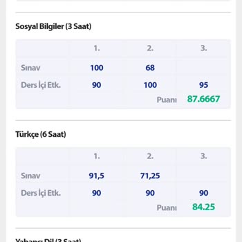 Ortalama Hatası Nedeniyle Takdir Alamama Endişesi