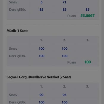 Ortalama Hatası Nedeniyle Takdir Alamama Endişesi
