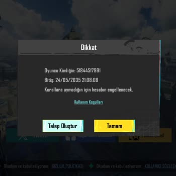 Kullanılamaz Hesaplar Satıldı, Destek Talebi Cevapsız Kaldı!