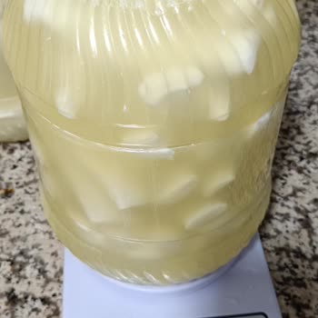 Instagram'dan Aldığım Peynir Siparişim Eksik Ve Yanıltıcı Çıktı!