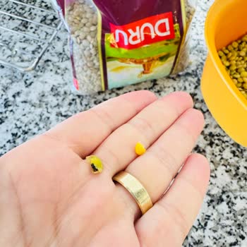 Duru Yeşil Mercimekte Böcek Çıkması Hayal Kırıklığı Yarattı