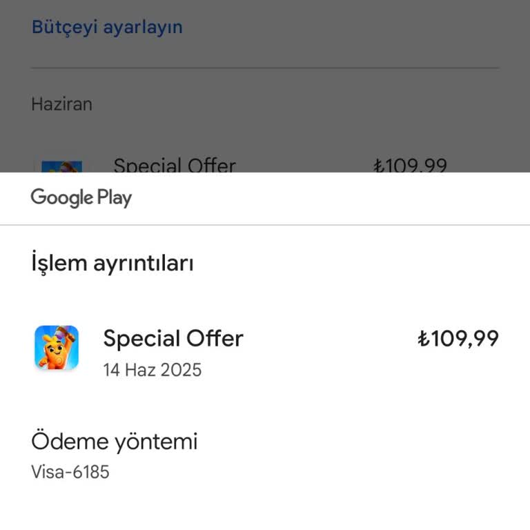 Satın Alınan Zar Ve Hediyelerin Teslim Edilmemesi