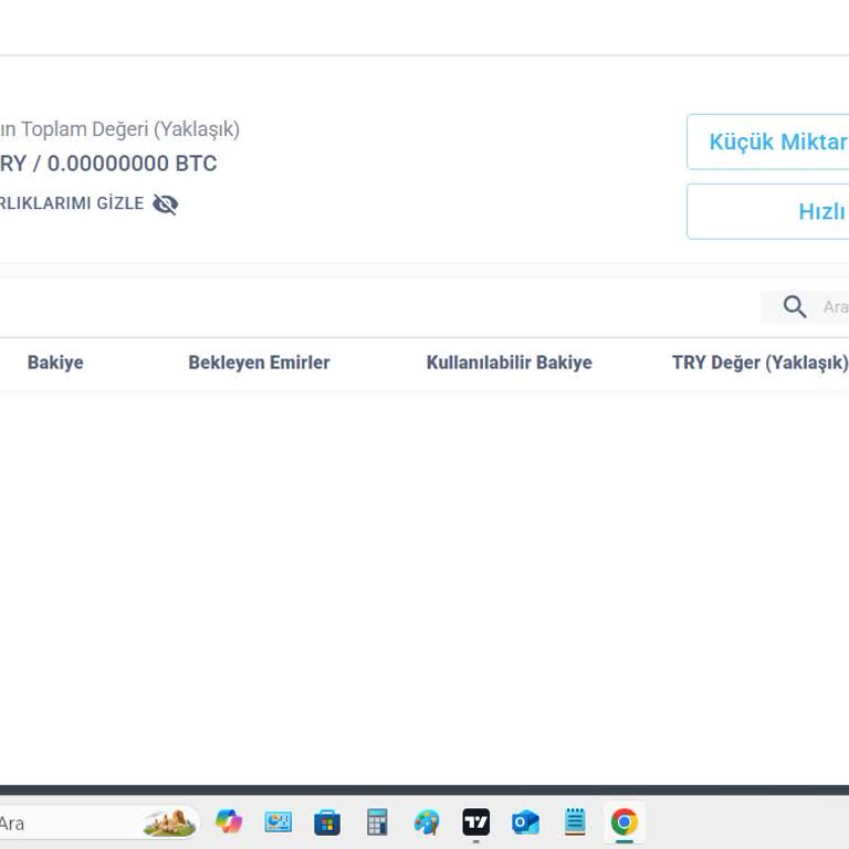Bitexen Hesaplarım Sıfırlandı, Açıklama Ve Destek Alamıyorum