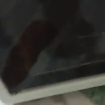Simfer Kapak Menteşesi Sorunu