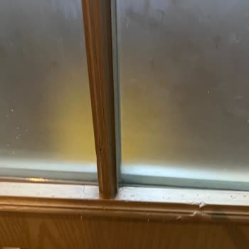 Doggo Operasyon Ekibinden Yetersiz İletişim Ve Destek