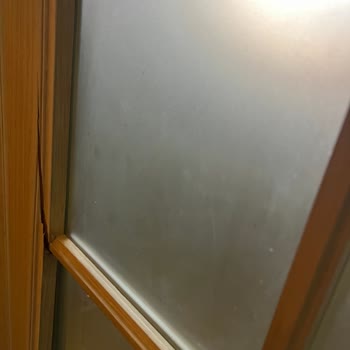 Doggo Operasyon Ekibinden Yetersiz İletişim Ve Destek