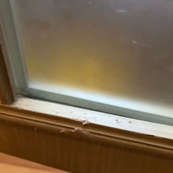 Doggo Operasyon Ekibinden Yetersiz İletişim Ve Destek