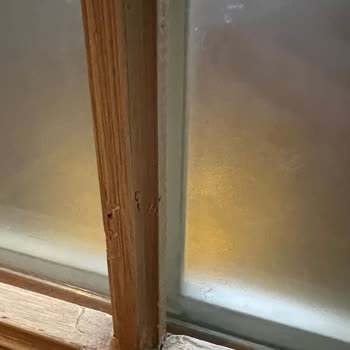 Doggo Operasyon Ekibinden Yetersiz İletişim Ve Destek