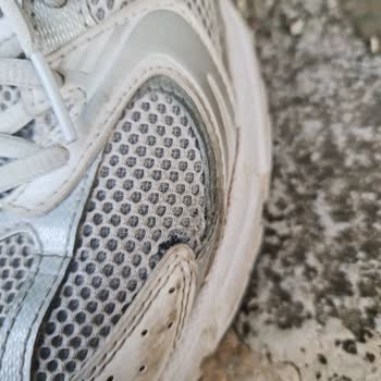 Aynı Yerden Yırtılan Ayakkabıya İnceleme Yapılmadan Kullanıcı Hatası Denildi