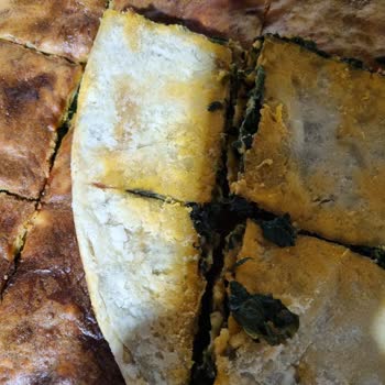 Vestel Fırın Alt Pişirmiyor, Sorun Çözülmedi Ve Değişim Talebim Karşılanmadı