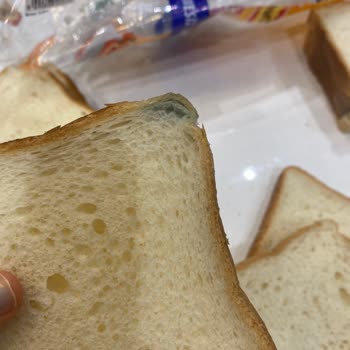 Migros'tan Aldığım Ekmek Son Kullanma Tarihi Geçmiş Ve Küflü Çıktı