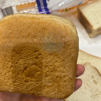 Migros'tan Aldığım Ekmek Son Kullanma Tarihi Geçmiş Ve Küflü Çıktı