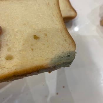 Migros'tan Aldığım Ekmek Son Kullanma Tarihi Geçmiş Ve Küflü Çıktı