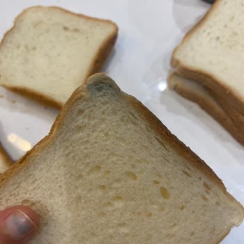 Migros'tan Aldığım Ekmek Son Kullanma Tarihi Geçmiş Ve Küflü Çıktı