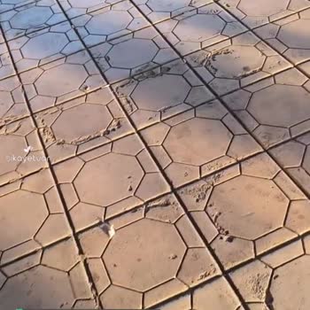 Cesur Bingöl Turizm Mağduriyeti!