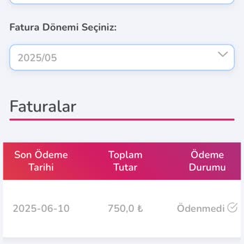 Elektrik Faturasında Anormal Artış Ve Sürekli Kesintiler Nedeniyle Mağduriyet