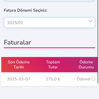 Elektrik Faturasında Anormal Artış Ve Sürekli Kesintiler Nedeniyle Mağduriyet