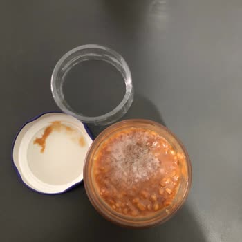 Fındık Parçalı Süt Reçeli Küflü Çıktı Mağduriyet Yaşıyorum