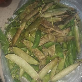 Online Siparişte Bozulmuş Ürün Ve Yetersiz İade Süreci