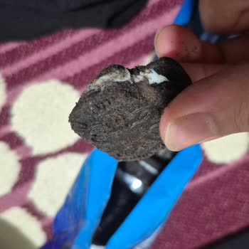 A101 Xroll Bisküvi Yarısı Isırılmış Gibi