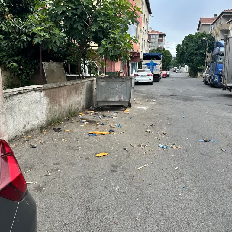 Ataşehir Yeni Çamlıca'da Temizlik Ve İlaçlama Eksikliği Mahalleliyi Endişelendiriyor