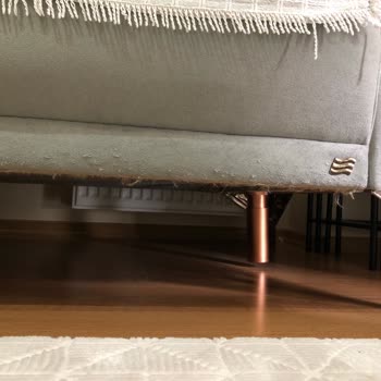 Kedi Tırmalamasına Dayanıklı Diye Satılan Koltuk Yırtıldı, Mağaza İlgisiz Kaldı