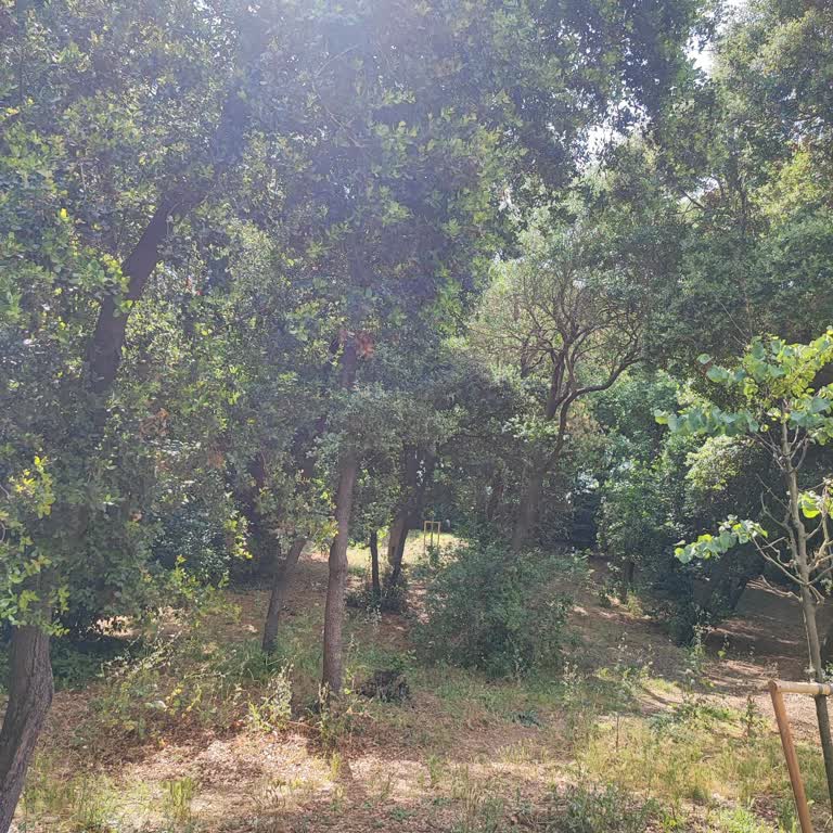 Teslimat Gecikmesi Ve Personel Kabalığı