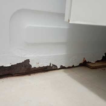 Çamaşır Makinesi Kısa Sürede Paslandı Ve Ayakları Koptu