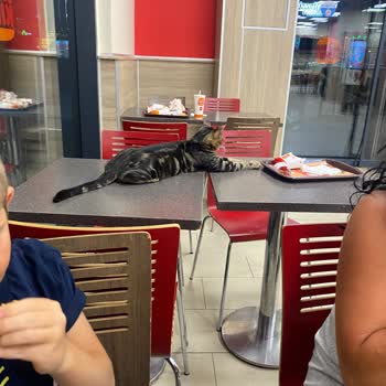 Burger King Oasis Cadde AVM'de Hijyen Sorunu Ve Sağlık Endişesi