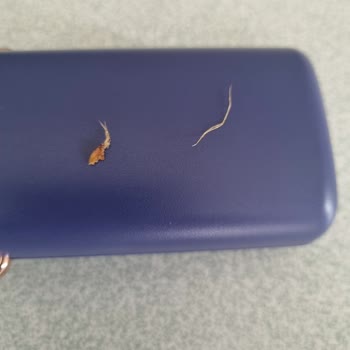 Migros Chips Coin Cips Şikayeti