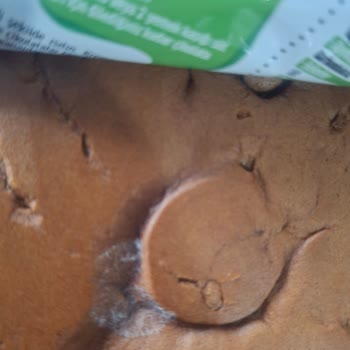 UNO Pastaban Ürününde Tekrarlayan Küflenme Sorunu