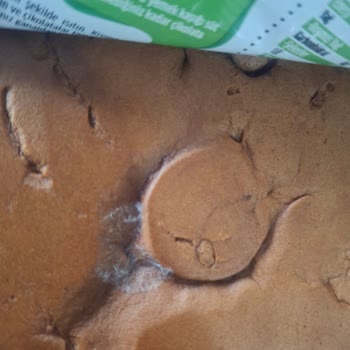 UNO Pastaban Ürününde Tekrarlayan Küflenme Sorunu