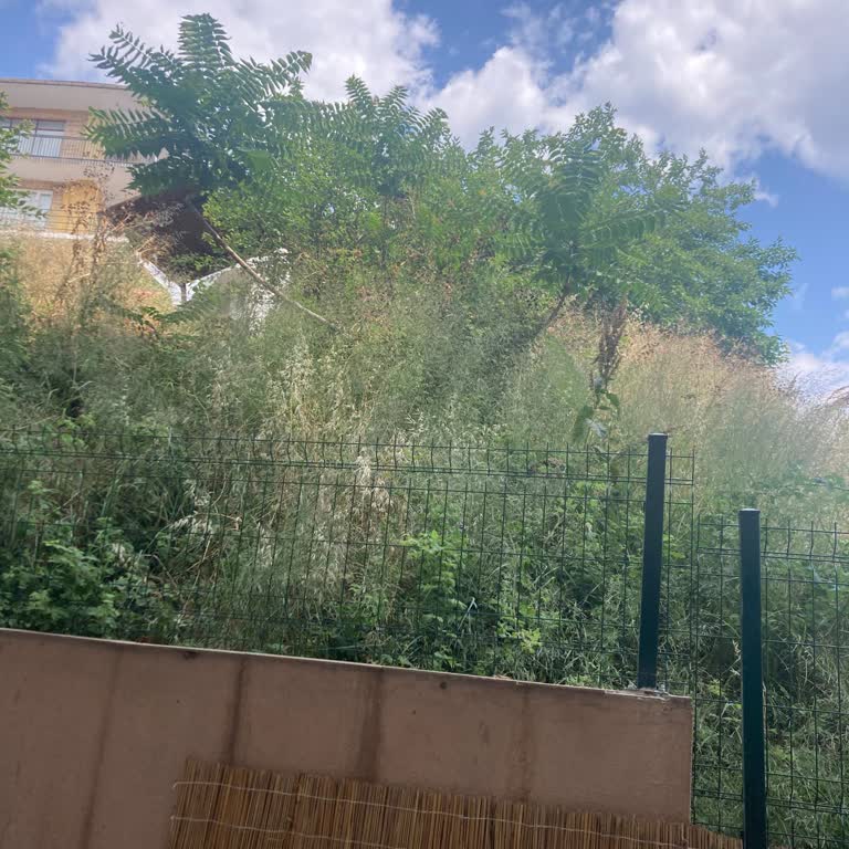 Arsadaki Otların Temizlenmemesi Nedeniyle Güvenlik Endişesi