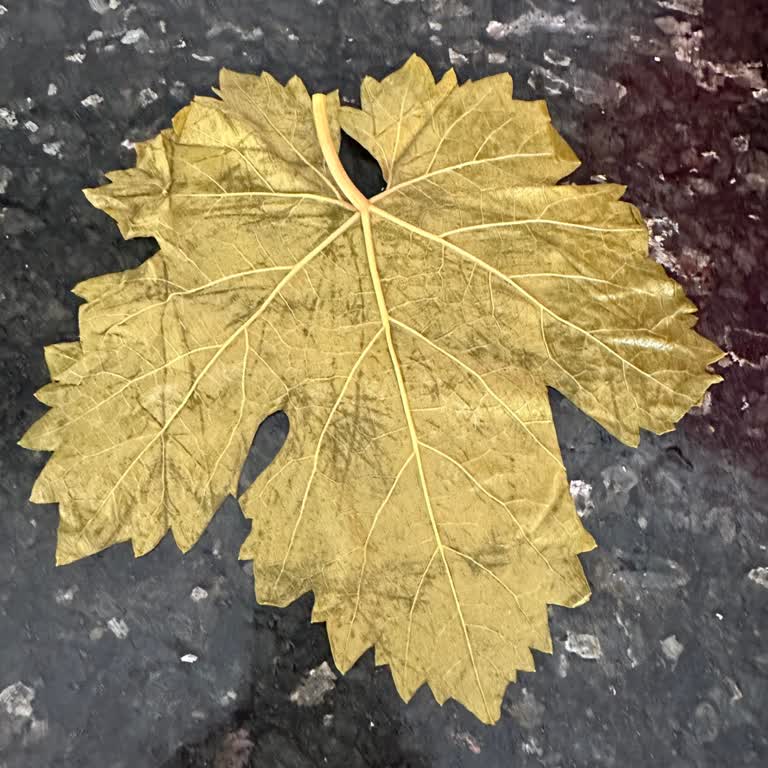 Siparişim Eksik Ve Yanlış Geldi, Müşteri Hizmeti Yetersiz