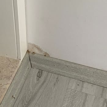 Sırma Damacana Çatlağı Nedeniyle Evde Su Baskını Ve Maddi Zarar