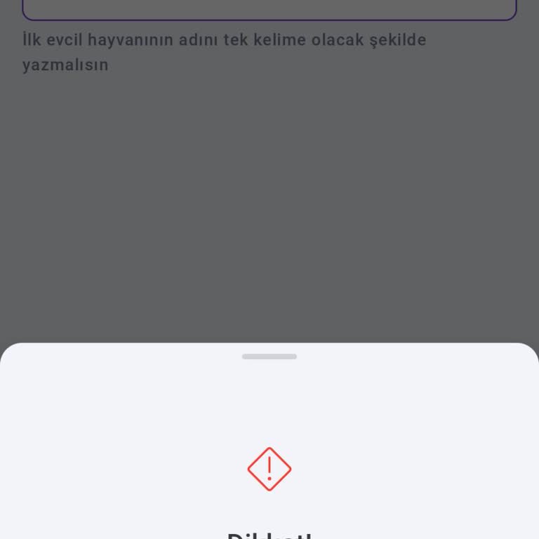 Kart Giriş Şifresi Ve Güvenlik Sorunu Nedeniyle Hesaba Erişemiyorum