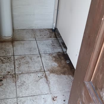 Horozköy Tren Garı Tuvaletlerinin Temizlik Sorunu Ve Bakımsızlığı