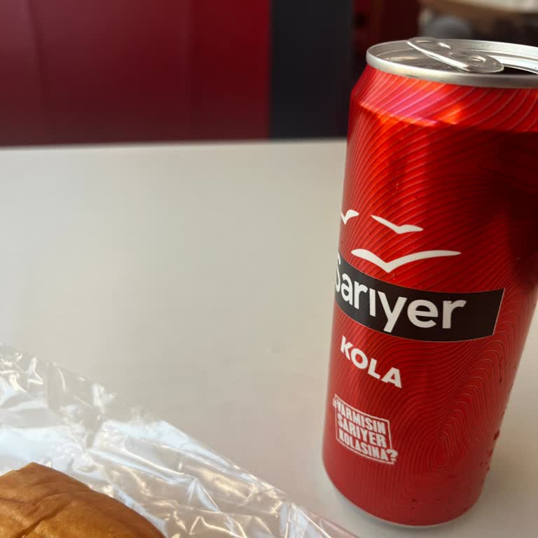 TCDD'de Sarıyer Kola Fiyatı Neden Bu Kadar Yüksek