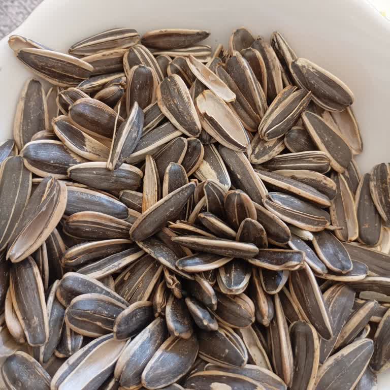 Çekirdek Paketi Hayal Kırıklığı: Boş Ve Kalitesiz Ürün