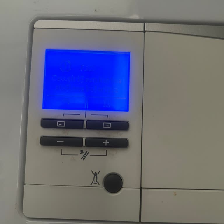 Vaillant Servis İhmali: 2 Gündür Sıcak Susuz Kaldık!