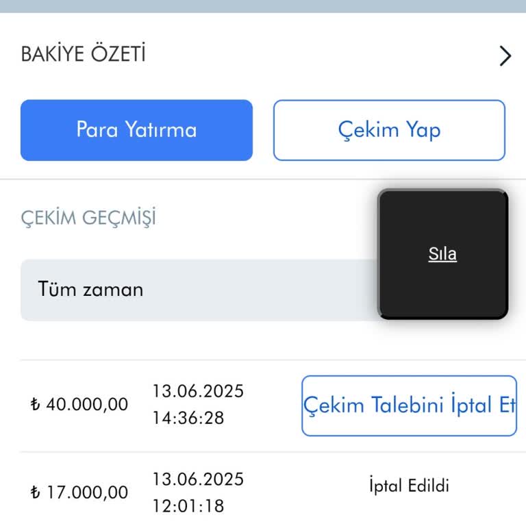 Para Çekimlerinde Yaşanan Gecikmeler Ve Müşteri Hizmetlerinden Yetersiz Destek