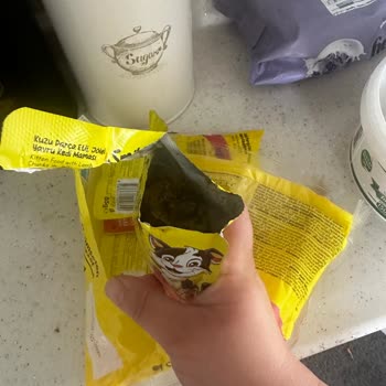 Bozuk Kedi Maması Yüzünden Kedim Zehirlenebilirdi