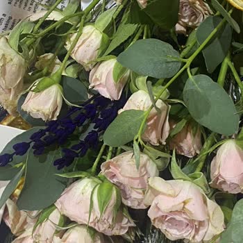 Mezuniyet İçin Sipariş Edilen Çiçek Kötü Geldi, Mağduriyet Giderilmedi