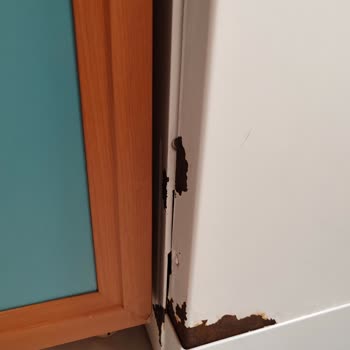 Yeni Aldığım Arçelik Bulaşık Makinesi İlk Yıldan Paslandı