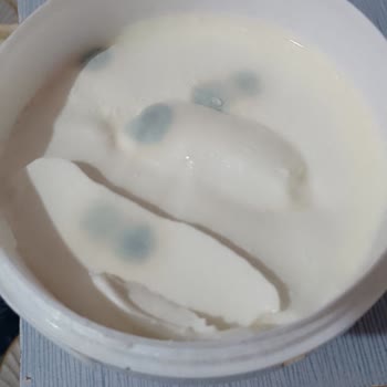 Tarihi Geçmiş Ve Küflü Yoğurt Satışı