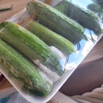 Migros Hemen Siparişimde Küflü Ürün Gönderildi