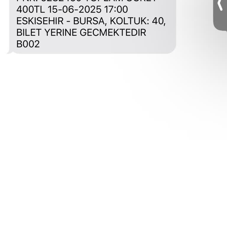 Otobüs Gecikmesi, İptal Edilemeyen Bilet Ve Kötü Araç Koşulları