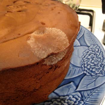 Aldığım UNO Pastaban Küflü Çıktı, Tüm Malzemelerim Çöpe Gitti